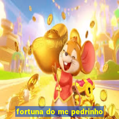 fortuna do mc pedrinho